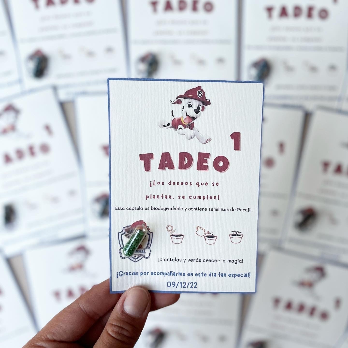 Tarjetas con cápsula biodegradable con semillitas