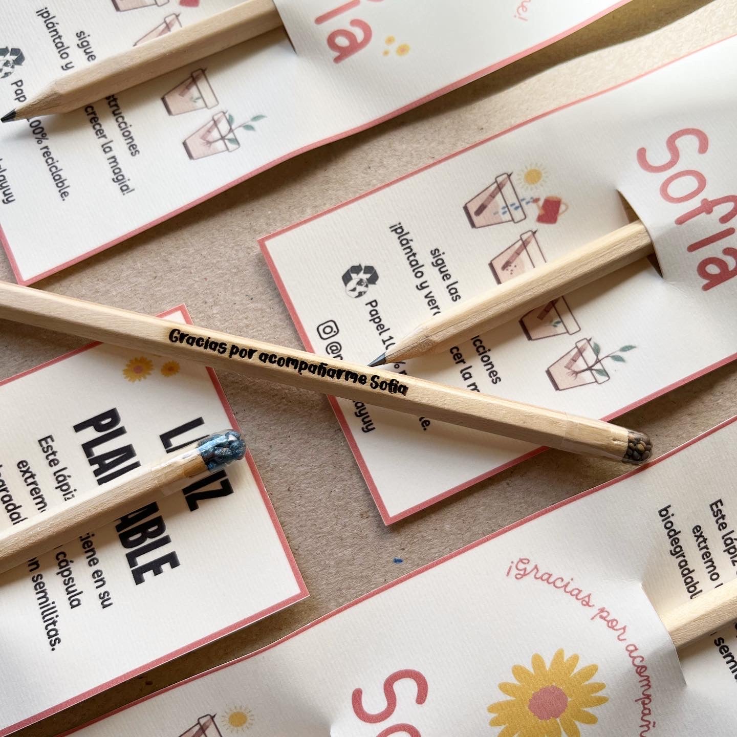 Lapices plantables personalizados x15