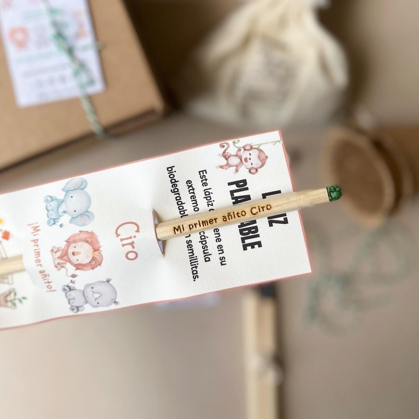 Lapices plantables personalizados x15