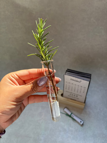 Calendario plantable 2026