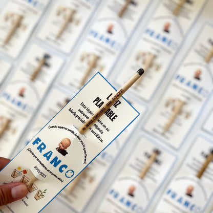Lapices plantables personalizados x15