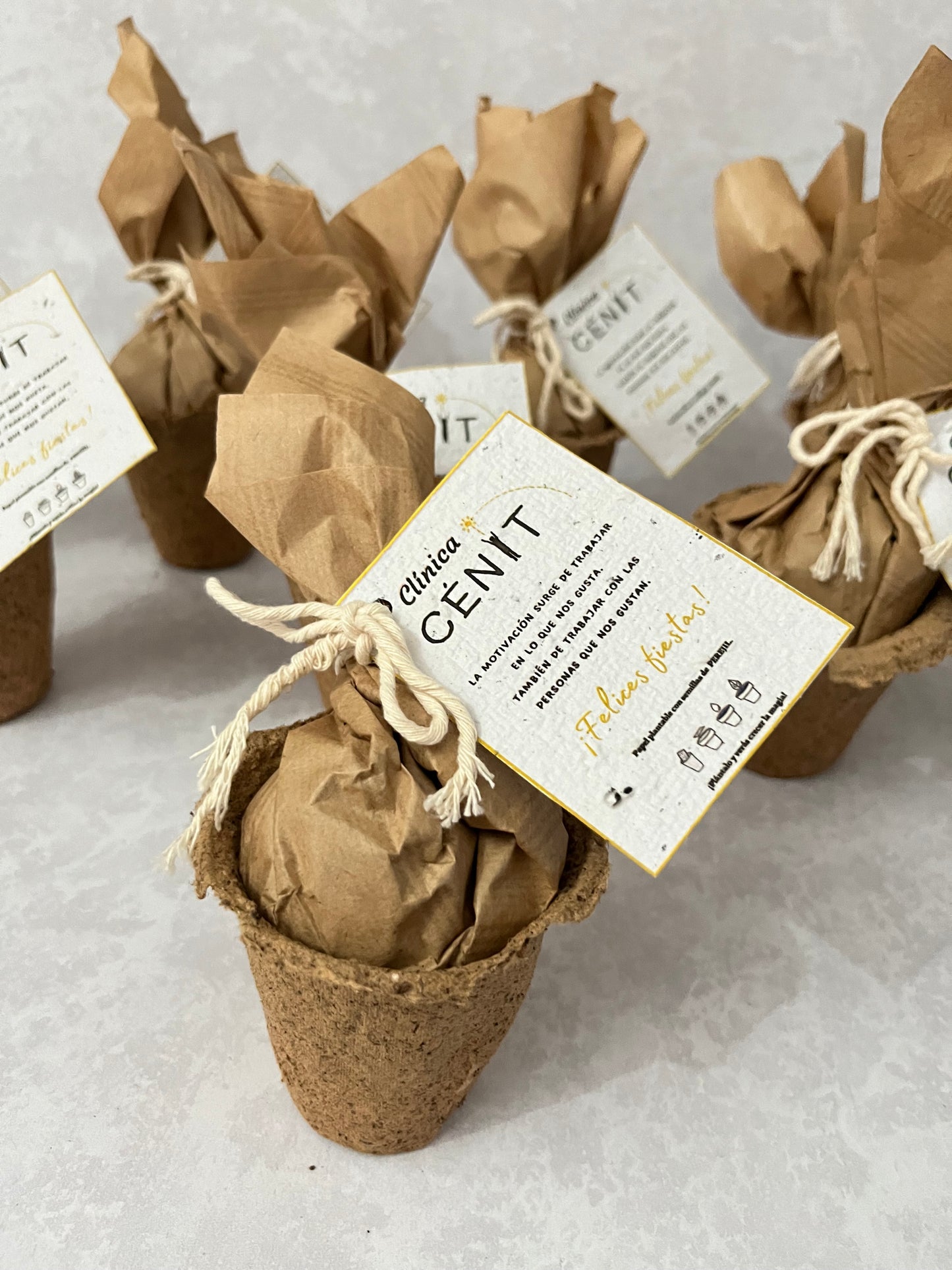 Papel plantable hoja A4