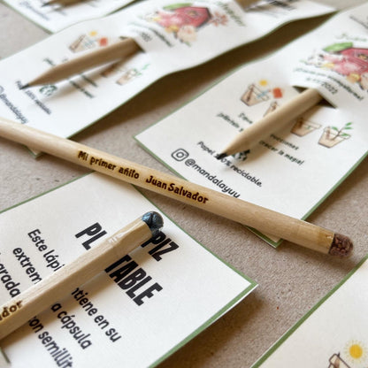 Lapices plantables personalizados x15